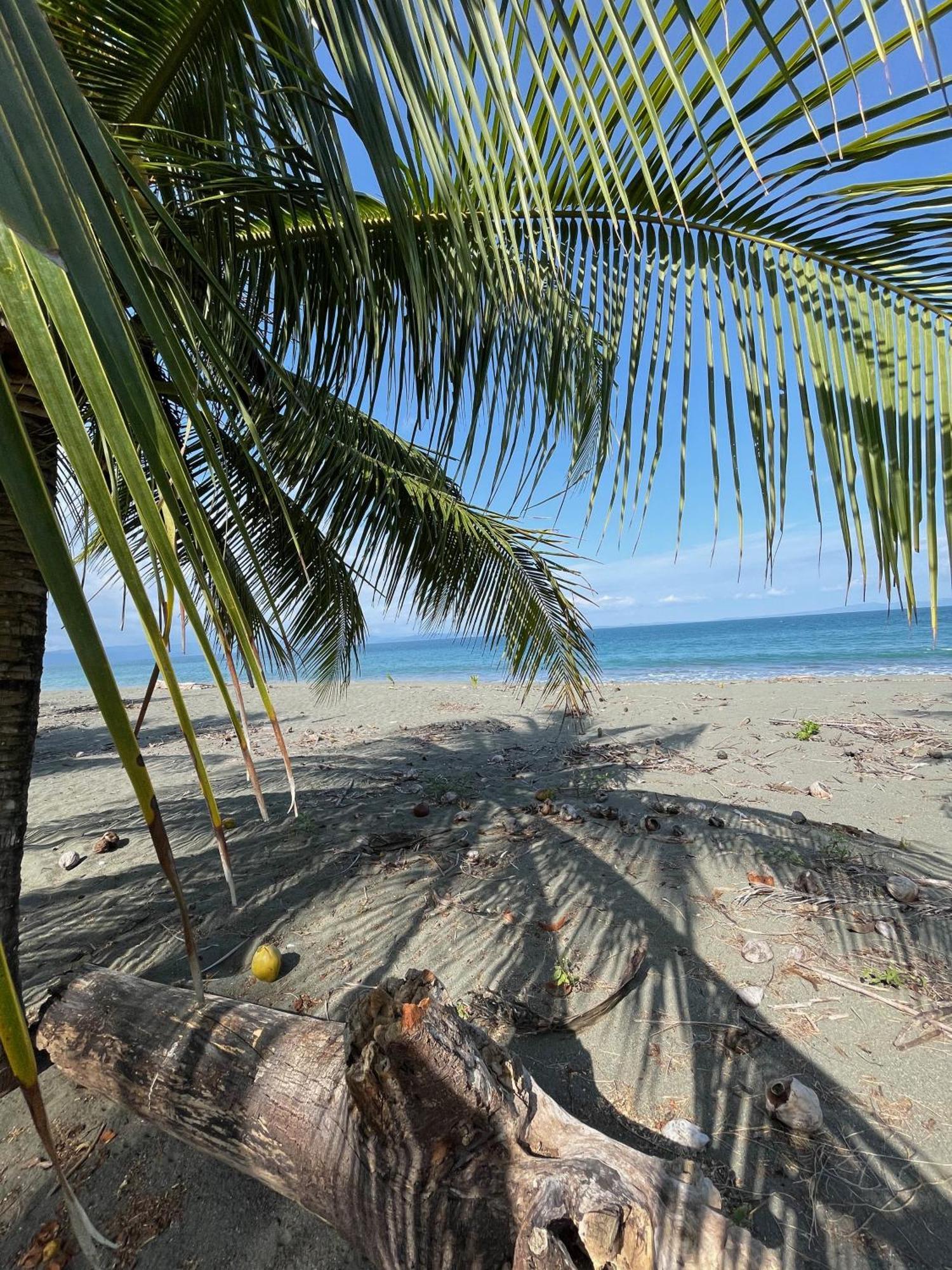 Nereus Hotel Puerto Jimenez Luaran gambar